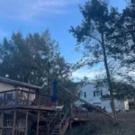 How Overgrown Trees Can Impact Your Roof and Gutters in York