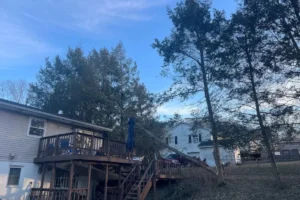 How Overgrown Trees Can Impact Your Roof and Gutters in York